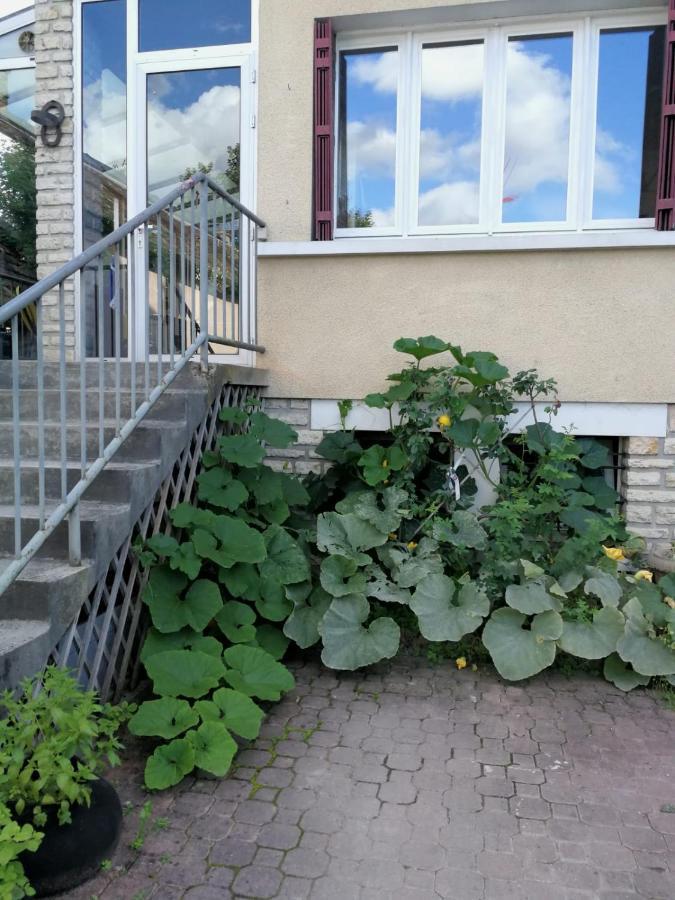 Un Verger Dans La Ville Saint-Parres-aux-Tertres Kültér fotó