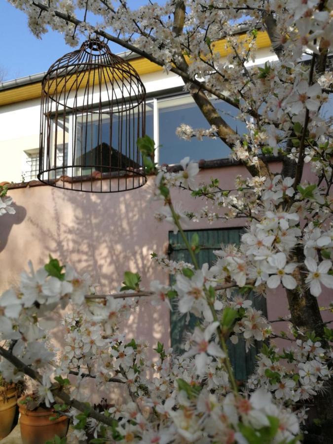 Un Verger Dans La Ville Saint-Parres-aux-Tertres Kültér fotó
