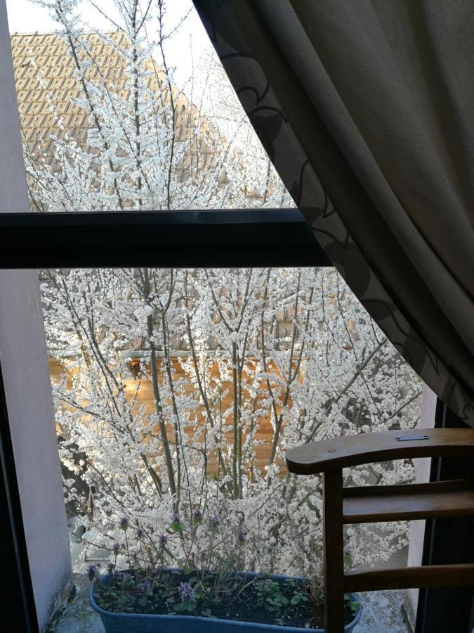 Un Verger Dans La Ville Saint-Parres-aux-Tertres Kültér fotó